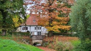 Kasteelhotel Terborgh - Rode kamer - 3