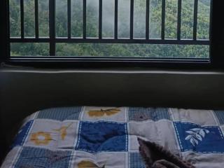 Ramdhura Homestay By StayApart - 4
