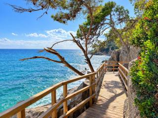 Apartamento con vistas al mar entre pinos - 7