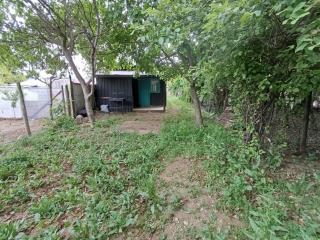Casita Nuez - 2