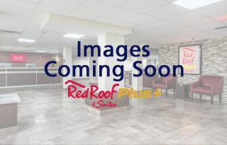 Red Roof PLUS+ & Suites Crosby - Crosby - 5