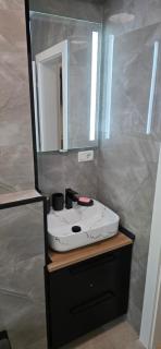 Potelu Parc Nicoale Romanescu Luxury Apartament - 1