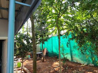 Kanasu Homestay Peaceful Nature Retreat - 9