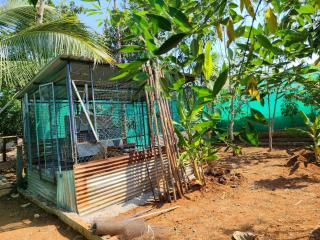 Kanasu Homestay Peaceful Nature Retreat - 2