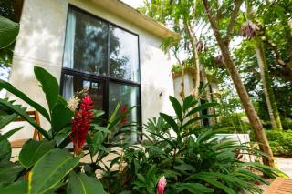 Eco Loft Mizu in Exotic paradise - 7