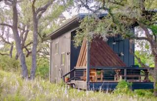 Wanderin Star Farms - Driftwood 3 - 7