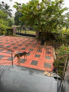 Konkan Retreat - 0
