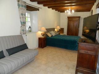 Gite de Cray - Lussault-sur-Loire - 5
