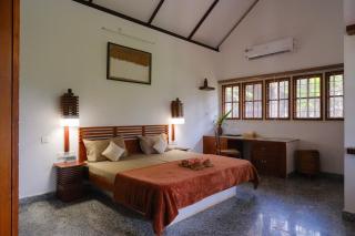 Nellu - Tranquil Pool Villa & Organic Farmstay near Varkala - 5