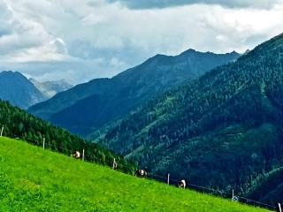 Chalet Roserl on the Planai - 8