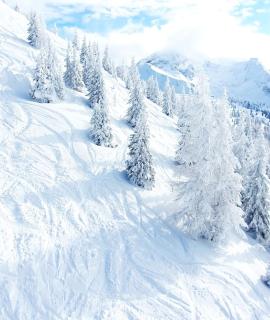 Chalet Roserl on the Planai - 3