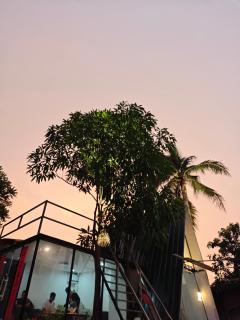 JD Hotel - 4