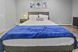 Bright 2BR Apartment in Stamford - 6