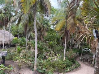 Casa Sisiguaca Palomino - 1
