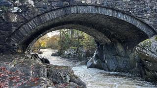 Cosy Welsh stone cottage Riverside walks - 1