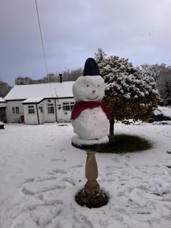 Cosy Welsh stone cottage Riverside walks - 0