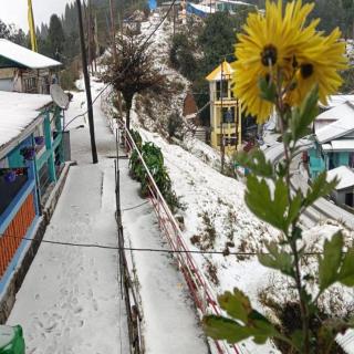 Potala Homestay Simana By StayApart - 3