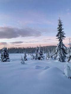 Winter Wonderland in Mesnali - 7