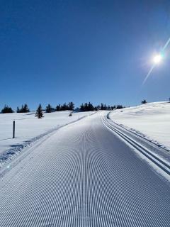 Winter Wonderland in Mesnali - 6
