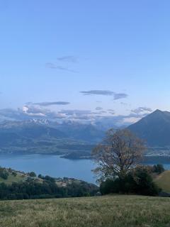 Seeblick - 5