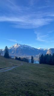 Seeblick - 6