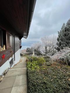 Seeblick - 7
