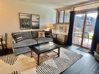 Lutsen Ski-In/Ski-Out | Lake View | Pet-Friendly - 1