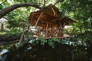 Simbiosis Treehouse Entire House Near the Pier - 4