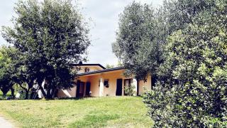 B&B Ernestine Family Home e "La Casa tra gli Ulivi" - 1