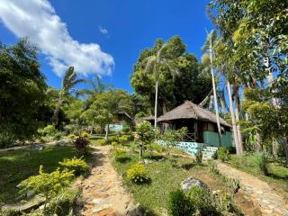 Djema Forest - 6