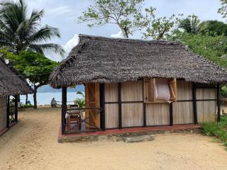 Djema Forest - 5