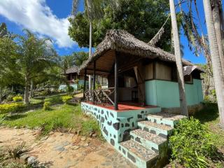 Djema Forest - 4