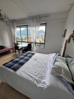 Appartamento vista lago con piscina - 2