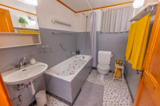 Petit chalet, grand jardin, tout à pied - 3