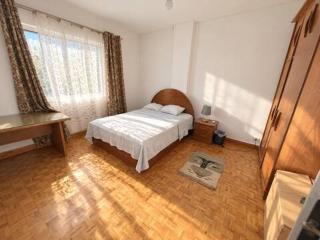 Spacious Room with Garden View in Leafy Maadi - 0