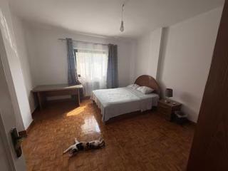 Spacious Room with Garden View in Leafy Maadi - 3