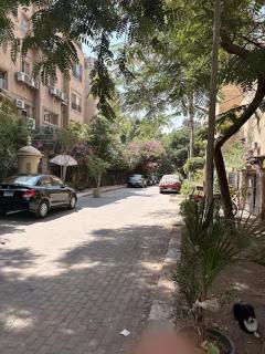 Spacious Room with Garden View in Leafy Maadi - 2