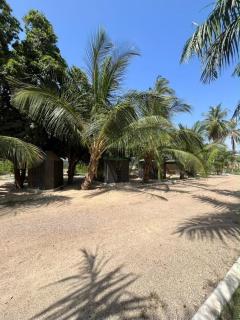 ACACIA BANGo - 2