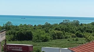 Blue Summer - 5