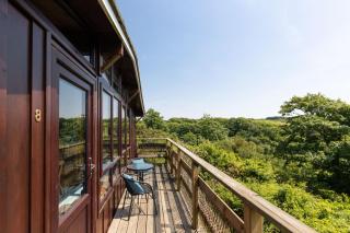 Coastal cabin, dog paradise, doorstep woodland walks, sea 5 mins by car - 0