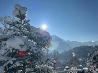 Alpenvilla Berchtesgaden Appartements - 7