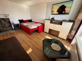 Cozy 9th floor studio with balcony and free parking - 5