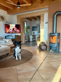 Ladolcevital im Tiroler Holzhaus - 8