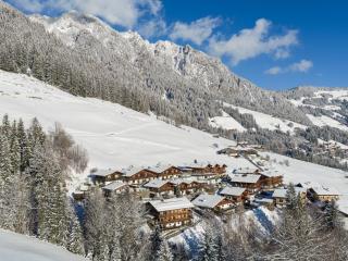 DAS Alpbach - 4