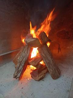 Pecan Hut Walnut - 4