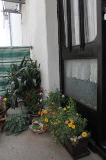Apartments by the sea Podgora, Makarska - 6670 - 1