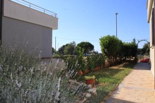 Apartments with parking space Fazana - 7205 - 1