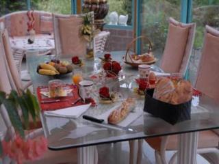 Holiday residence in North Vosges - 7