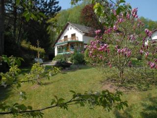 Holiday residence in North Vosges - 0