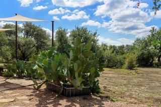 Cactus & Oak - 2 Fenced in Hill Country Acres with Game Room in Driftwood - 4
